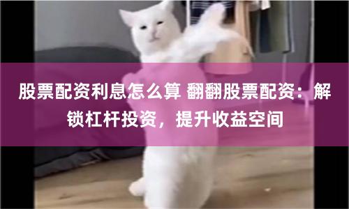 《好易配资》新生态：当金融科技遇上普惠投资